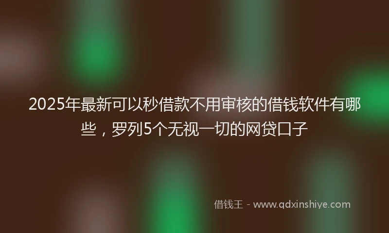 2025年最新可以秒借款不用审核的借钱软件有哪些，罗列5个无视一切的网贷口子