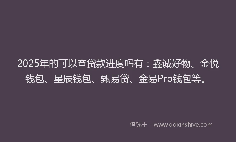 2025年的可以查贷款进度吗有：鑫诚好物、金悦钱包、星辰钱包、甄易贷、金易Pro钱包等。