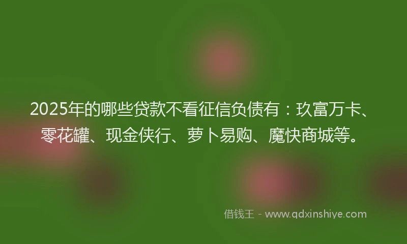 2025年的哪些贷款不看征信负债有：玖富万卡、零花罐、现金侠行、萝卜易购、魔快商城等。