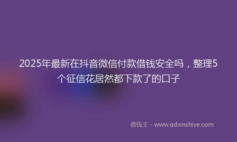 2025年最新在抖音微信付款借钱安全吗，整理5个征信花居然都下款了的口子