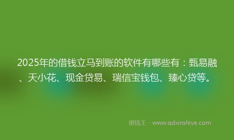 2025年的借钱立马到账的软件有哪些有：甄易融、天小花、现金贷易、瑞信宝钱包、臻心贷等。