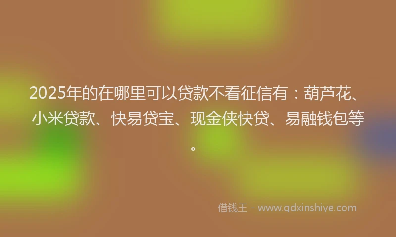 2025年的在哪里可以贷款不看征信有：葫芦花、小米贷款、快易贷宝、现金侠快贷、易融钱包等。