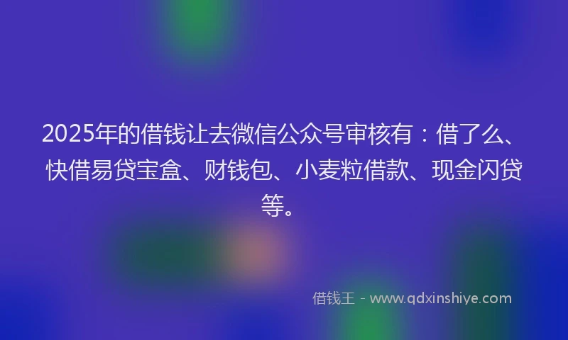 2025年的借钱让去微信公众号审核有：借了么、快借易贷宝盒、财钱包、小麦粒借款、现金闪贷等。