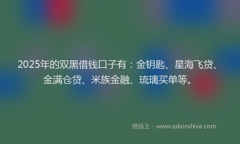 2025年的双黑借钱口子有：金钥匙、星海飞贷、金满仓贷、米族金融、琉璃买单等。
