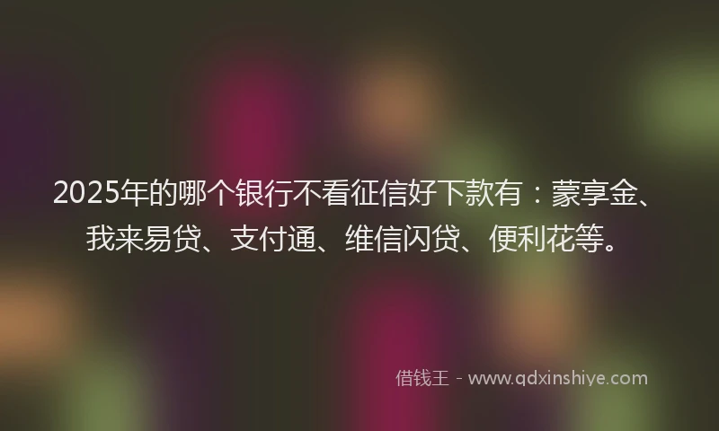 2025年的哪个银行不看征信好下款有：蒙享金、我来易贷、支付通、维信闪贷、便利花等。