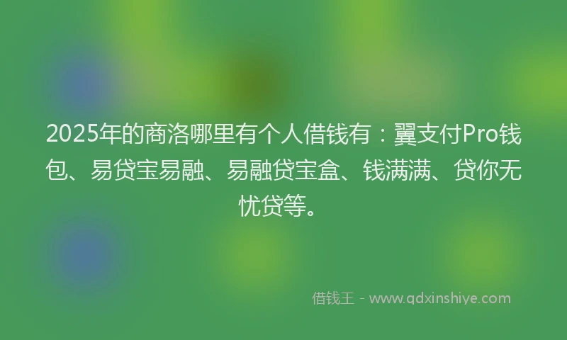 2025年的商洛哪里有个人借钱有：翼支付Pro钱包、易贷宝易融、易融贷宝盒、钱满满、贷你无忧贷等。