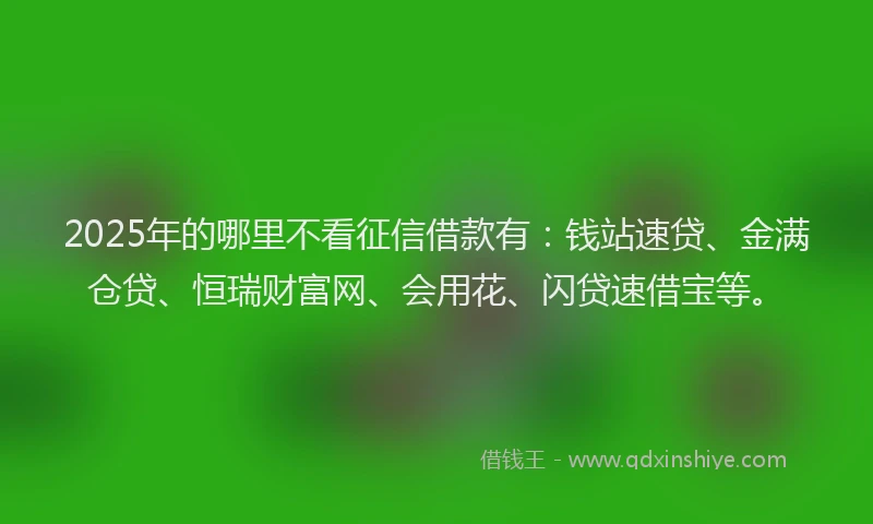 2025年的哪里不看征信借款有：钱站速贷、金满仓贷、恒瑞财富网、会用花、闪贷速借宝等。