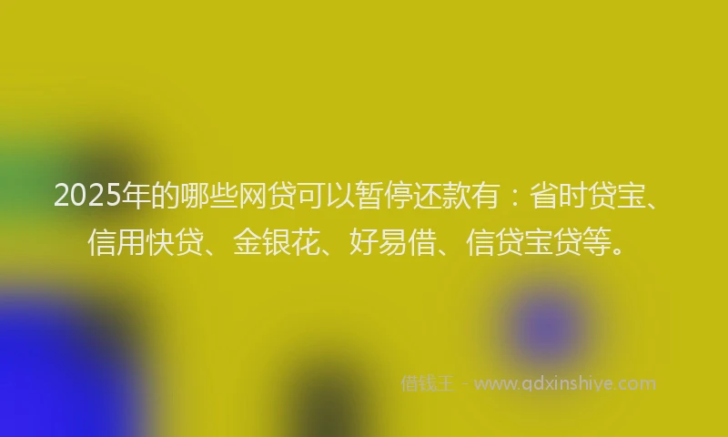 2025年的哪些网贷可以暂停还款有：省时贷宝、信用快贷、金银花、好易借、信贷宝贷等。