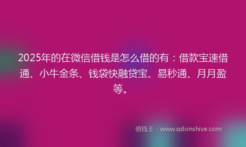 2025年的在微信借钱是怎么借的有：借款宝速借通、小牛金条、钱袋快融贷宝、易秒通、月月盈等。