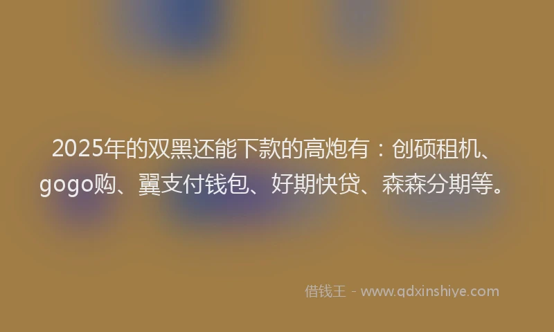 2025年的双黑还能下款的高炮有：创硕租机、gogo购、翼支付钱包、好期快贷、森森分期等。