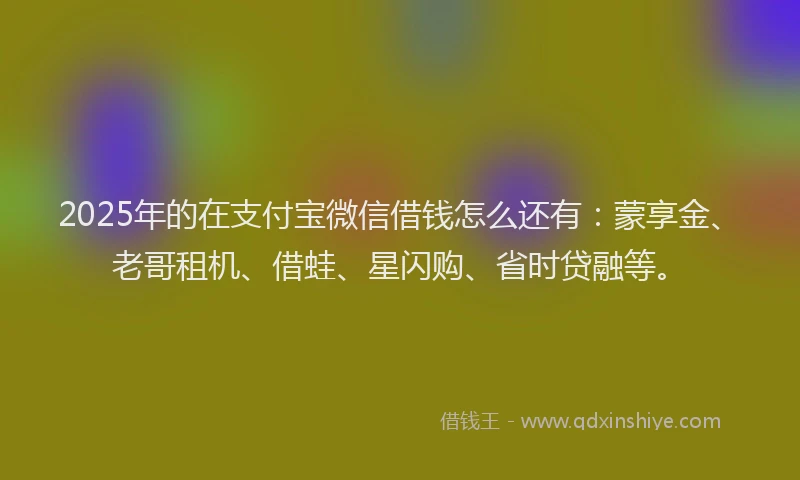 2025年的在支付宝微信借钱怎么还有：蒙享金、老哥租机、借蛙、星闪购、省时贷融等。