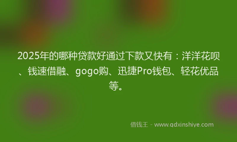 2025年的哪种贷款好通过下款又快有：洋洋花呗、钱速借融、gogo购、迅捷Pro钱包、轻花优品等。