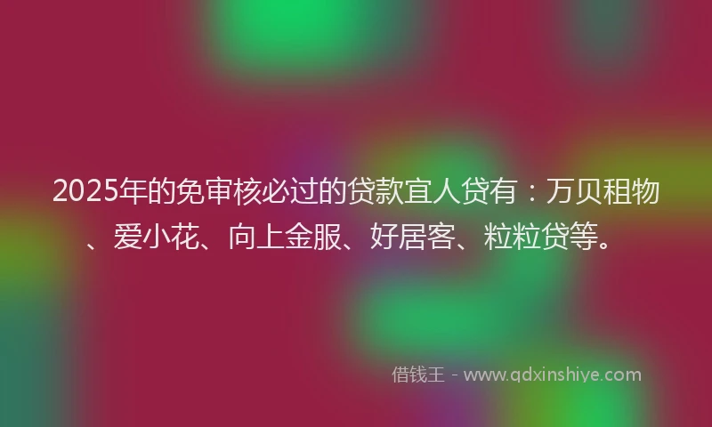 2025年的免审核必过的贷款宜人贷有：万贝租物、爱小花、向上金服、好居客、粒粒贷等。