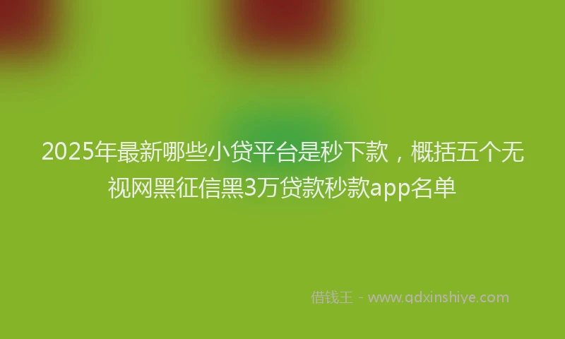 2025年最新哪些小贷平台是秒下款，概括五个无视网黑征信黑3万贷款秒款app名单