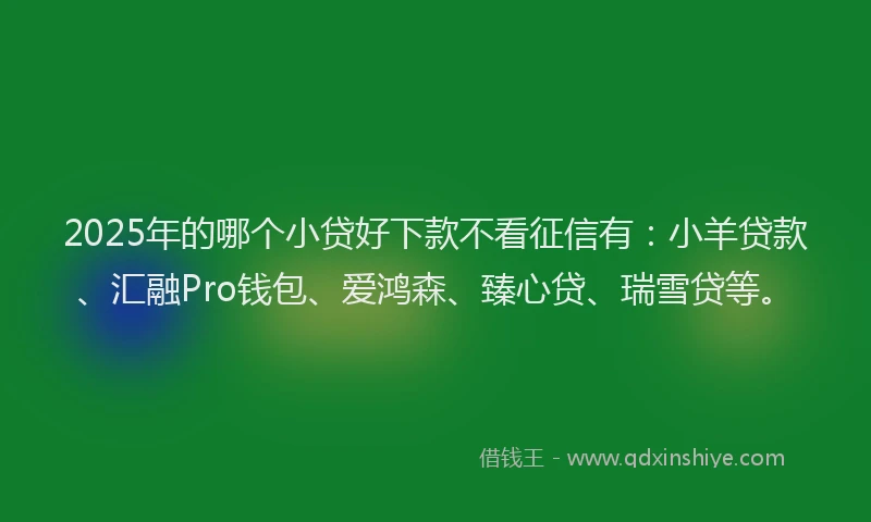 2025年的哪个小贷好下款不看征信有：小羊贷款、汇融Pro钱包、爱鸿森、臻心贷、瑞雪贷等。