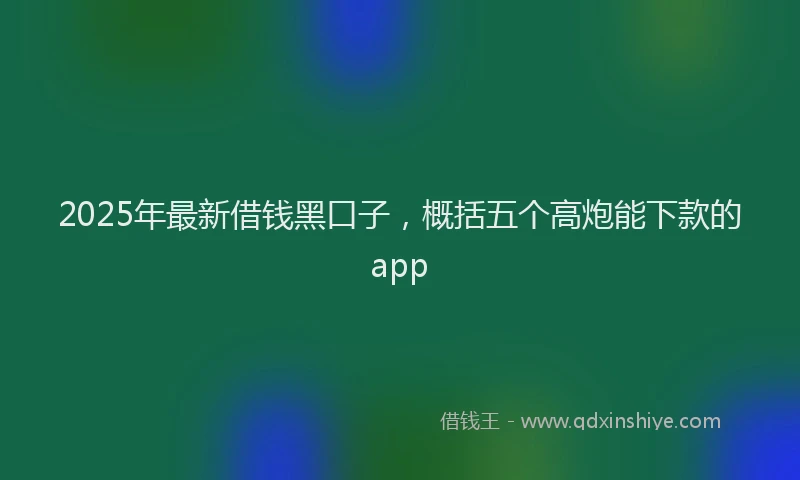 2025年最新借钱黑口子，概括五个高炮能下款的app