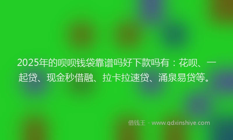 2025年的呗呗钱袋靠谱吗好下款吗有：花呗、一起贷、现金秒借融、拉卡拉速贷、涌泉易贷等。