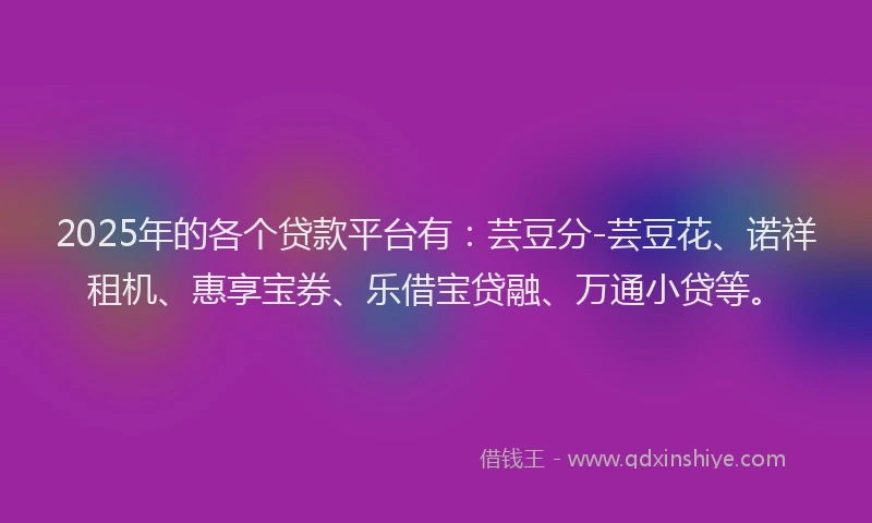 2025年的各个贷款平台有：芸豆分-芸豆花、诺祥租机、惠享宝券、乐借宝贷融、万通小贷等。