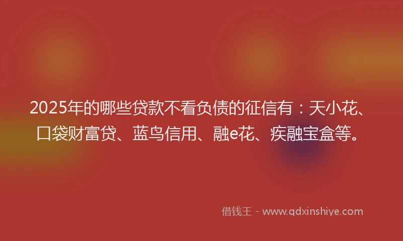 2025年的哪些贷款不看负债的征信有：天小花、口袋财富贷、蓝鸟信用、融e花、疾融宝盒等。