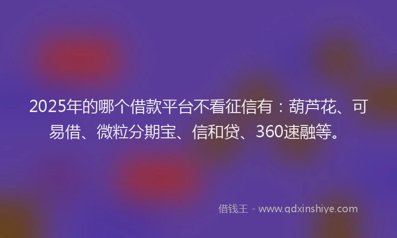 2025年的哪个借款平台不看征信有：葫芦花、可易借、微粒分期宝、信和贷、360速融等。