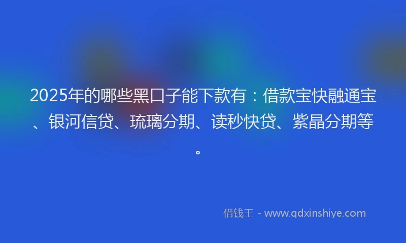 2025年的哪些黑口子能下款有：借款宝快融通宝、银河信贷、琉璃分期、读秒快贷、紫晶分期等。