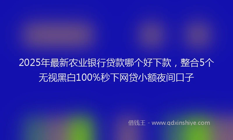 2025年最新农业银行贷款哪个好下款，整合5个无视黑白100%秒下网贷小额夜间口子