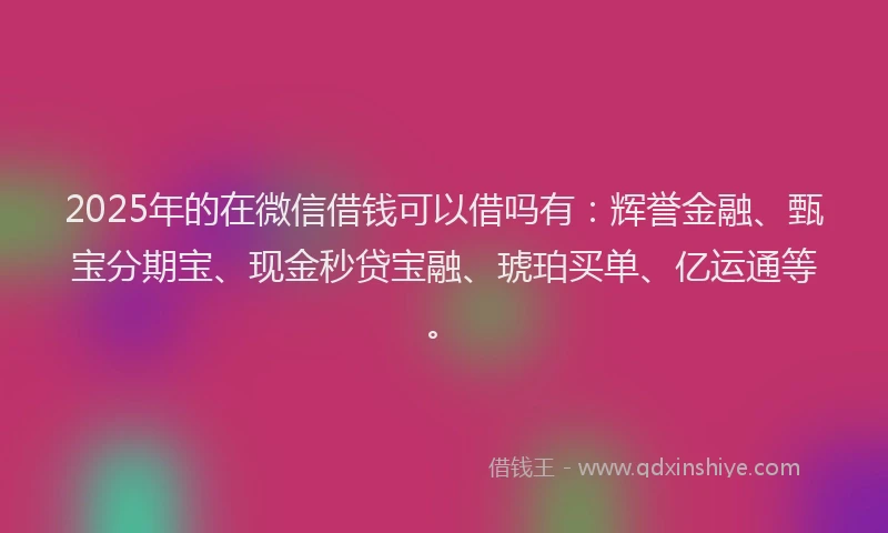 2025年的在微信借钱可以借吗有：辉誉金融、甄宝分期宝、现金秒贷宝融、琥珀买单、亿运通等。