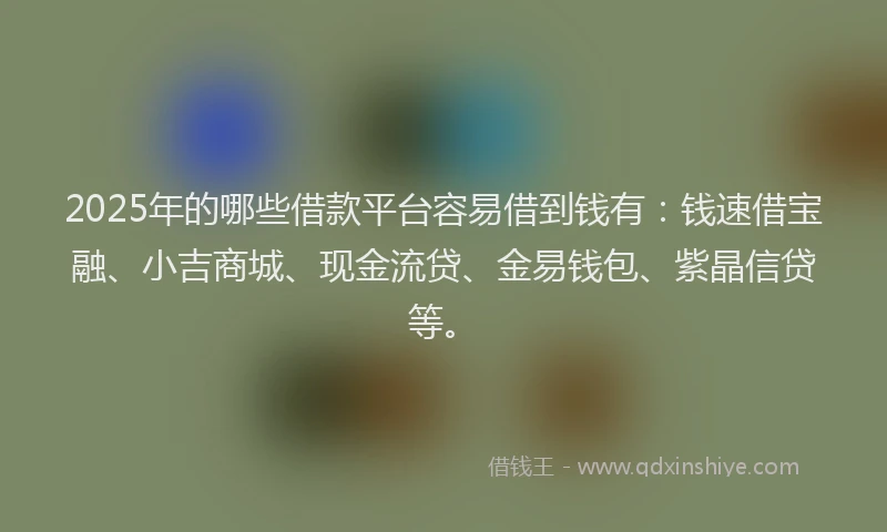 2025年的哪些借款平台容易借到钱有：钱速借宝融、小吉商城、现金流贷、金易钱包、紫晶信贷等。