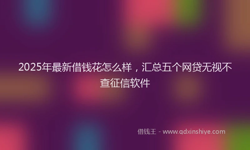 2025年最新借钱花怎么样，汇总五个网贷无视不查征信软件