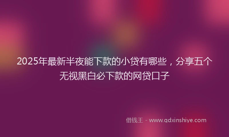 2025年最新半夜能下款的小贷有哪些，分享五个无视黑白必下款的网贷口子
