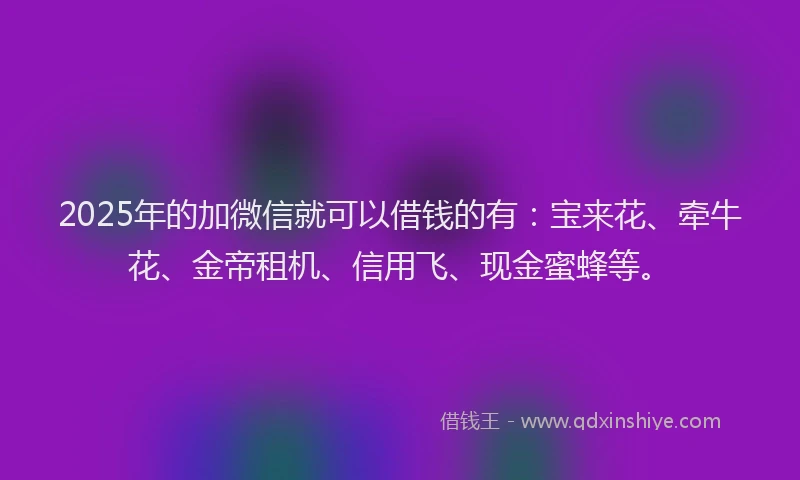 2025年的加微信就可以借钱的有：宝来花、牵牛花、金帝租机、信用飞、现金蜜蜂等。