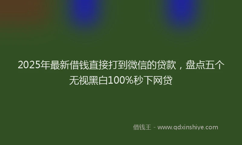 2025年最新借钱直接打到微信的贷款，盘点五个无视黑白100%秒下网贷