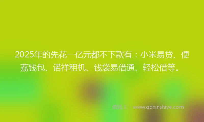 2025年的先花一亿元都不下款有：小米易贷、便荔钱包、诺祥租机、钱袋易借通、轻松借等。