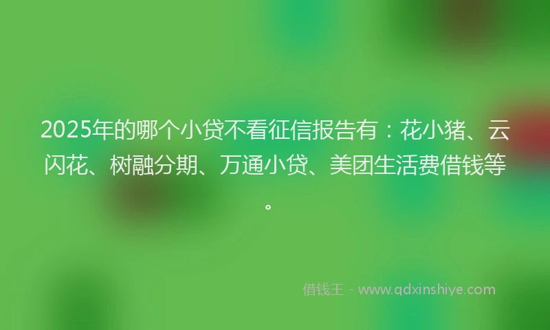2025年的哪个小贷不看征信报告有：花小猪、云闪花、树融分期、万通小贷、美团生活费借钱等。