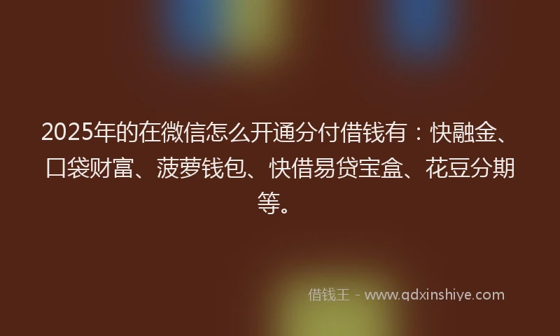 2025年的在微信怎么开通分付借钱有：快融金、口袋财富、菠萝钱包、快借易贷宝盒、花豆分期等。