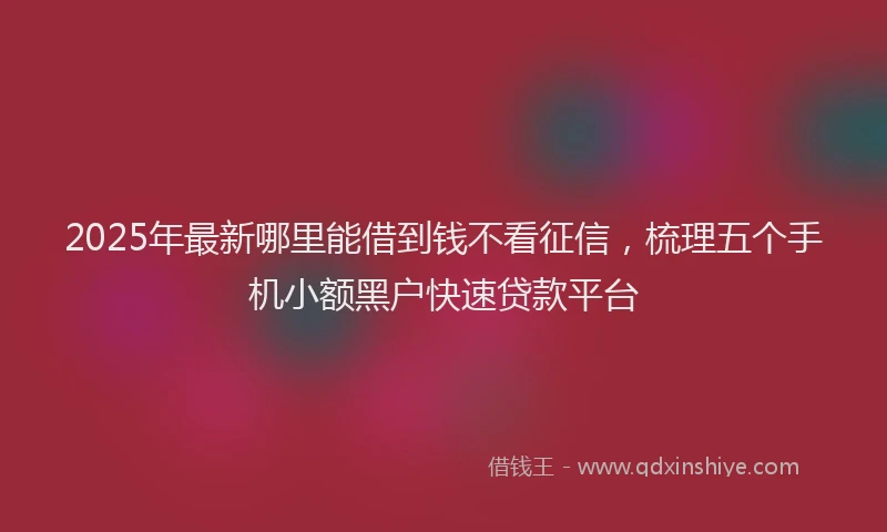 2025年最新哪里能借到钱不看征信，梳理五个手机小额黑户快速贷款平台