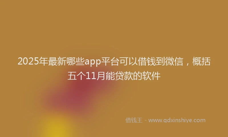 2025年最新哪些app平台可以借钱到微信，概括五个11月能贷款的软件