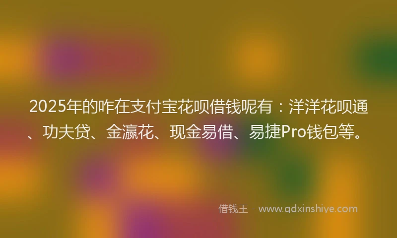 2025年的咋在支付宝花呗借钱呢有：洋洋花呗通、功夫贷、金瀛花、现金易借、易捷Pro钱包等。