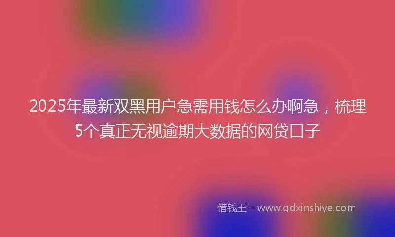 2025年最新双黑用户急需用钱怎么办啊急，梳理5个真正无视逾期大数据的网贷口子
