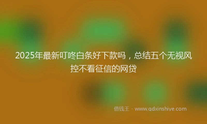 2025年最新叮咚白条好下款吗，总结五个无视风控不看征信的网贷