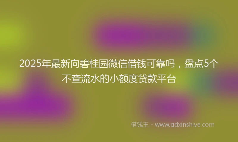 2025年最新向碧桂园微信借钱可靠吗，盘点5个不查流水的小额度贷款平台