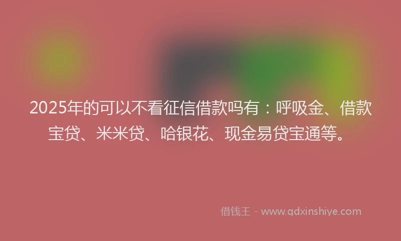 2025年的可以不看征信借款吗有：呼吸金、借款宝贷、米米贷、哈银花、现金易贷宝通等。