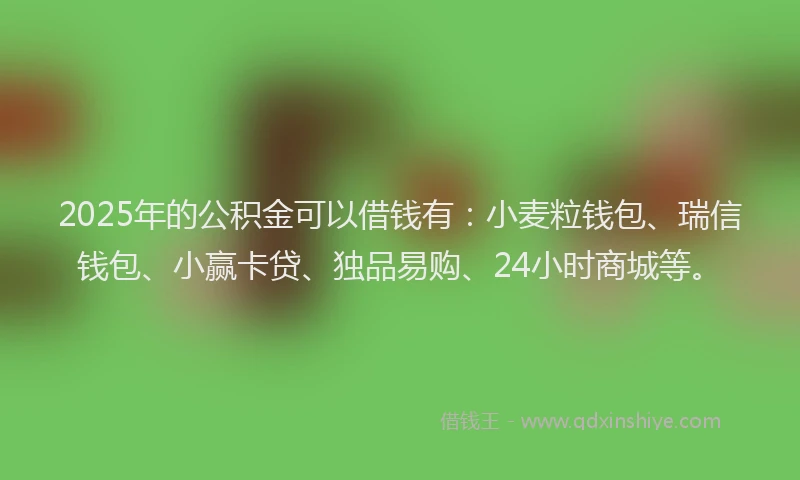 2025年的公积金可以借钱有：小麦粒钱包、瑞信钱包、小赢卡贷、独品易购、24小时商城等。