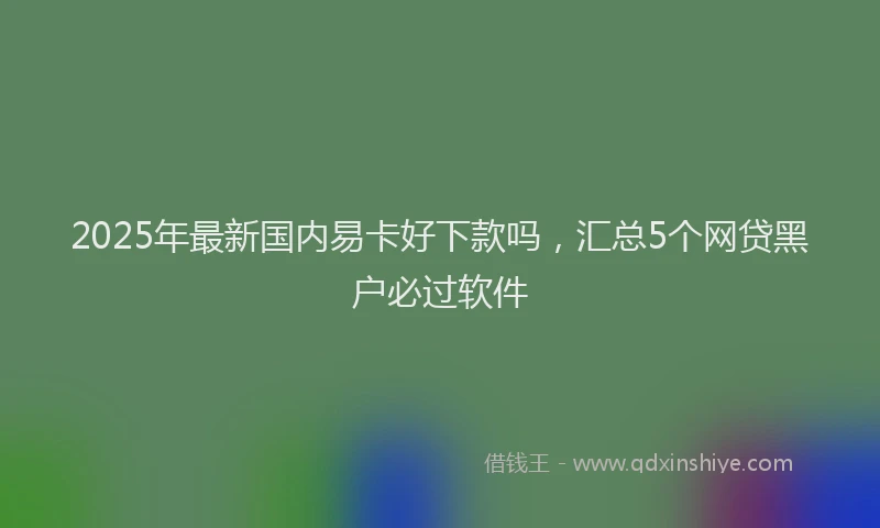2025年最新国内易卡好下款吗，汇总5个网贷黑户必过软件