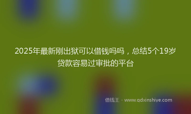 2025年最新刚出狱可以借钱吗吗，总结5个19岁贷款容易过审批的平台