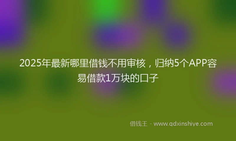 2025年最新哪里借钱不用审核，归纳5个APP容易借款1万块的口子