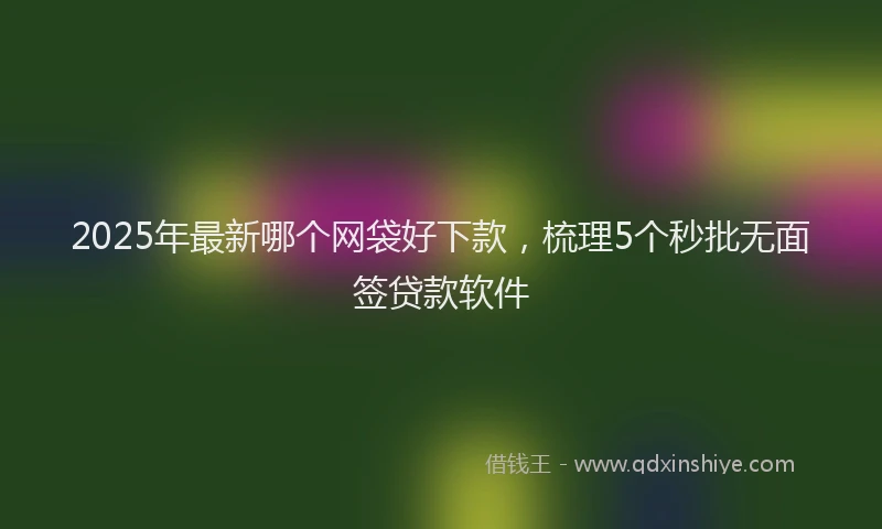 2025年最新哪个网袋好下款，梳理5个秒批无面签贷款软件