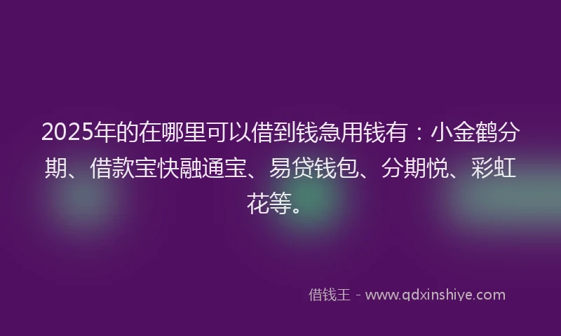 2025年的在哪里可以借到钱急用钱有：小金鹤分期、借款宝快融通宝、易贷钱包、分期悦、彩虹花等。