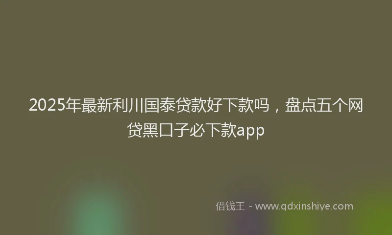 2025年最新利川国泰贷款好下款吗，盘点五个网贷黑口子必下款app
