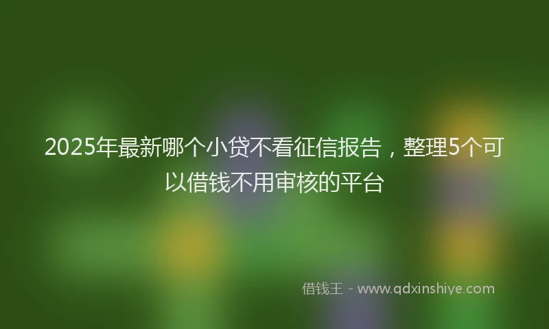 2025年最新哪个小贷不看征信报告，整理5个可以借钱不用审核的平台